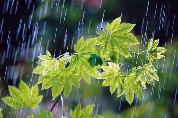 وقوع روان آب در برخی شهرستان های خراسان جنوبی/ احتمال بارش برف